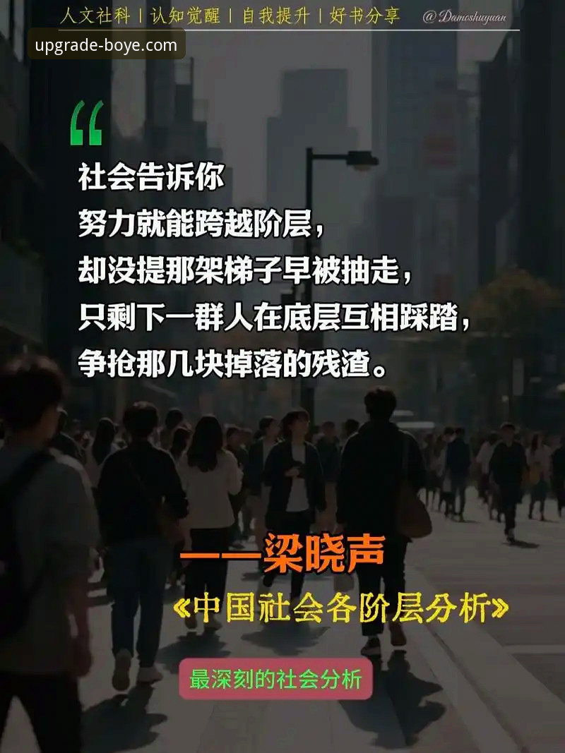深度揭秘：博业APP靠谱吗2026最新版本的真实体验与升级真相